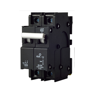 2 Pole Dual (DIN & mini rail) mount